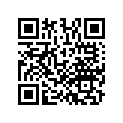 13102-MAL-307 PISTON,OS 0.25