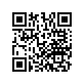 13102-MEG-305 PISTON (0.25)