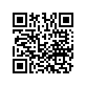 13102-MFG-D00 Piston