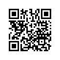 13102-MGZ-305 Piston (0.25)