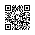 13102-MR5-305 PISTON (0.25)
