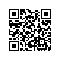 13102-MV9-305 Piston (os 0.25)