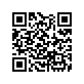 13102-ZY3-000 SSBY-11-13102-ZY3-A00-PISTON(0.25)