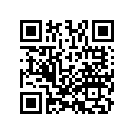 13102KZZD21 PISTON (0.25)