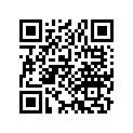 13103-087-712 PISTON(0.50)