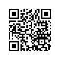 13103-427-000 Piston (os) (0.50)