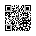 13103-887-000 PISTON(0.50)