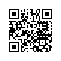 13103-HM8-306 PISTON (O.S. 0.50)