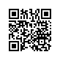 13103-HN5-670 PISTON (0.50)