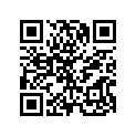 13103-KS4-335 Piston (os 0.50)