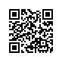 13103-KT1-315 Piston (os) (0.50)