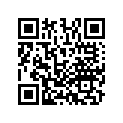 13103-KYY-900 PISTON (0.50)