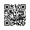 13103-KZZ-D21 PISTON (0.50)