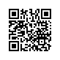 13103-MAE-305 Piston (os) (0.50)