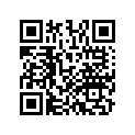 13103-MEG-305 Поршень