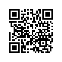 13103-MT3-305 Piston (os 0.50)
