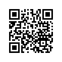 13103-ZE6-023 PISTON(0.50)