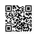 13103-ZG9-000 SSBY-11-13103-ZG9-010-PISTON(0.50)