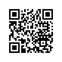 13104-036-010 Piston (os) (0.75)