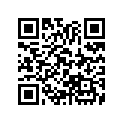 13104-087-712 Piston (os) (0.75)