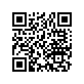 13104-312-010 Piston (os) (0.75)