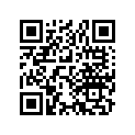 13104-427-000 Piston (os) (0.75)