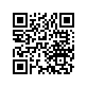 13104-437-000 Piston (os) (0.75)