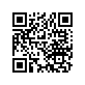 13104-459-000 Piston (0.75)