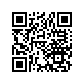 13104-887-000 PISTON(0.75)