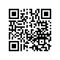 13104-GB2-010 Piston (os) (0.75)