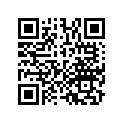13104-HM8-306 PISTON (O.S. 0.75)