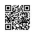 13105-028-070 Piston (1.00)