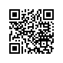 13105-087-712 Piston (1.00)
