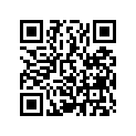 13105-KYZ-901 PISTON (1.00)
