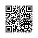 13111-384-000 Палец поршневой