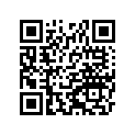 131161121 Rod-push, L=343