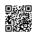 131280055