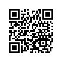 131560555 Lever-change