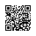 13161-1241 レバ-コンプ(チエンジシヤフト),FR