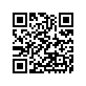 131680069 Lever
