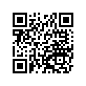 131681046 Lever, Gear Change Drm