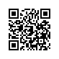 131681282 Lever