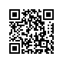 131681450 Lever, Lock
