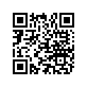 13195 PIN