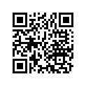 13201-036-010 ROD, CONNECTING