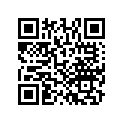13211-PAA-A01 SSBY-11-13211-PAH-T01-BEARINGA,CONNROD
