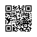 13226-MBB-003 Вкладыш