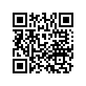 13227-MBB-003 Вкладыш