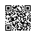 13251-13G00 .O RING