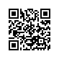 13269-32400 ..adjuster